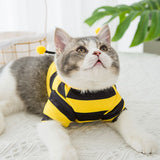 Honeybees Turned Into Pet Clothes