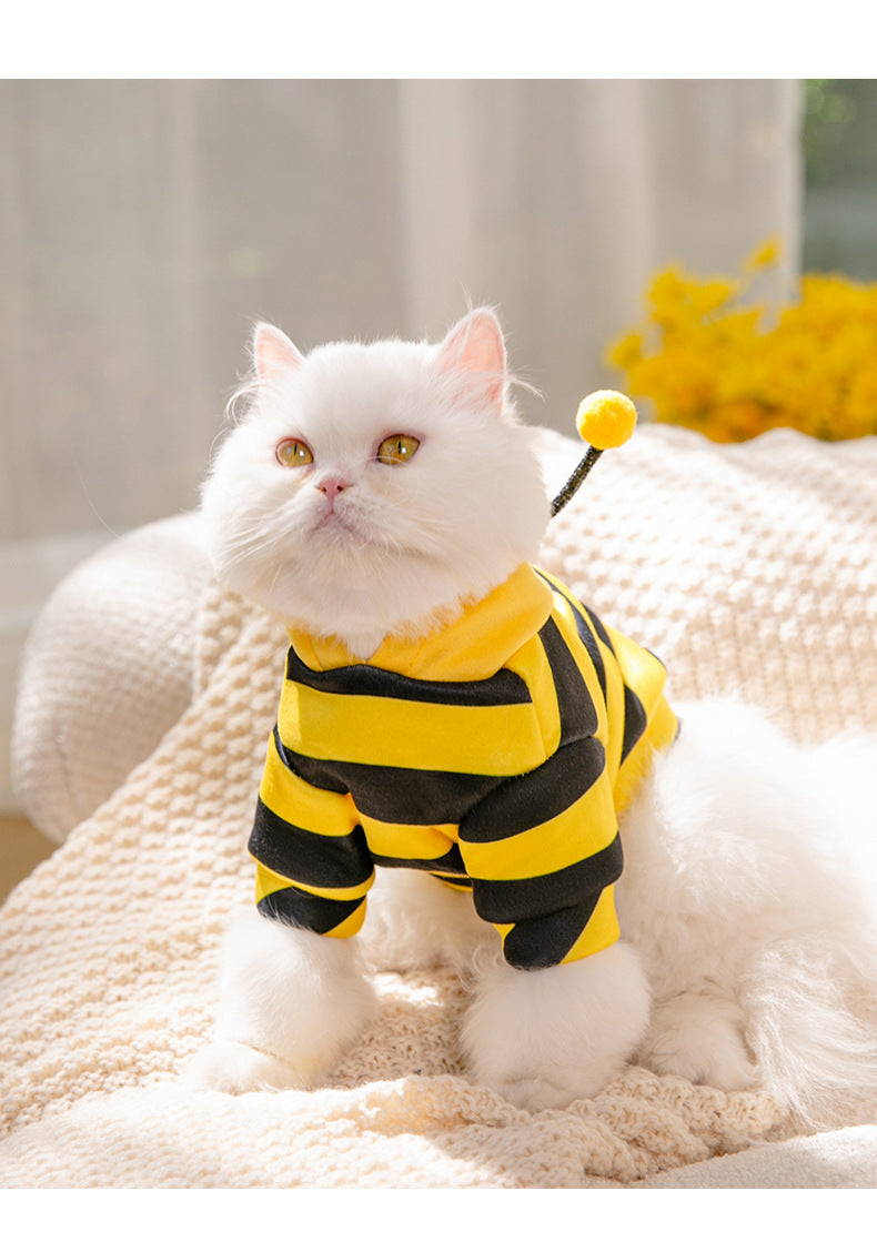 Honeybees Turned Into Pet Clothes