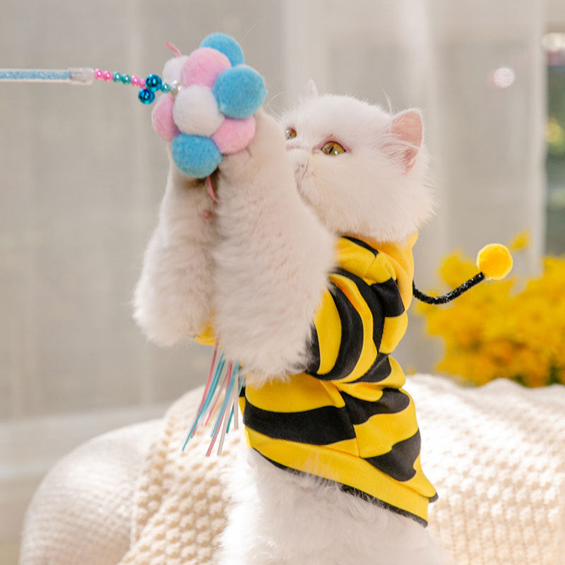 Honeybees Turned Into Pet Clothes