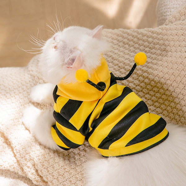 Honeybees Turned Into Pet Clothes